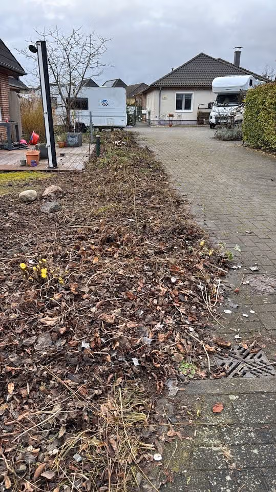 Rückschnitt am Gehwegrand im Winter, Fläche geräumt und begehbar