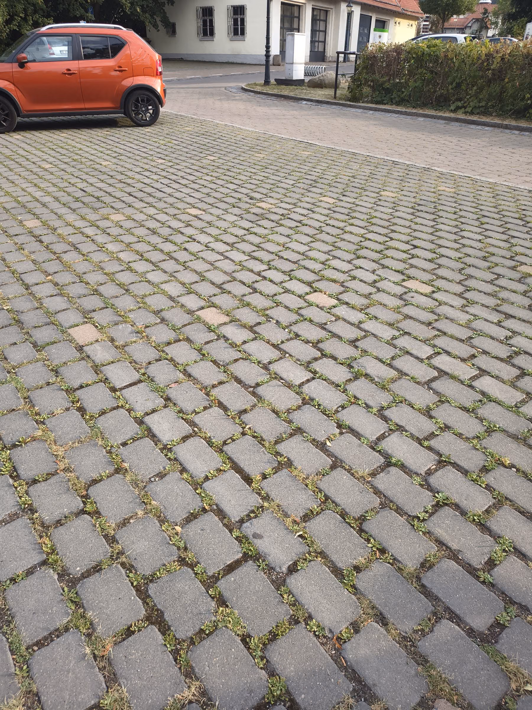 Parkplatz aus Ökopflaster mit breiten Fugen, in denen flächig Grün wächst