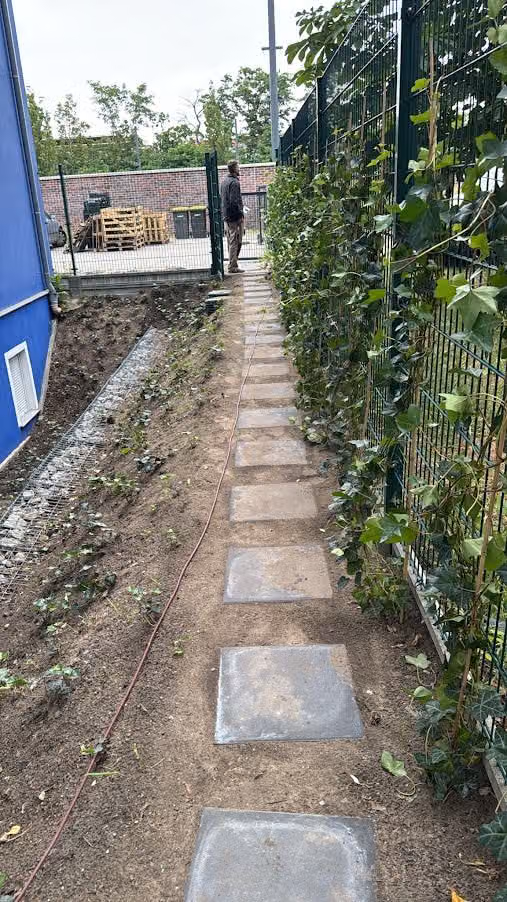 Trittplattenweg zwischen Hecke und Zaun, Platten in gleichmäßigem Abstand